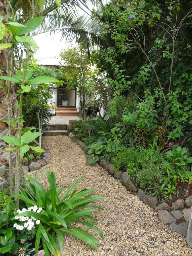 Casa Flora Loft Studio El El Sauzal Dış mekan fotoğraf