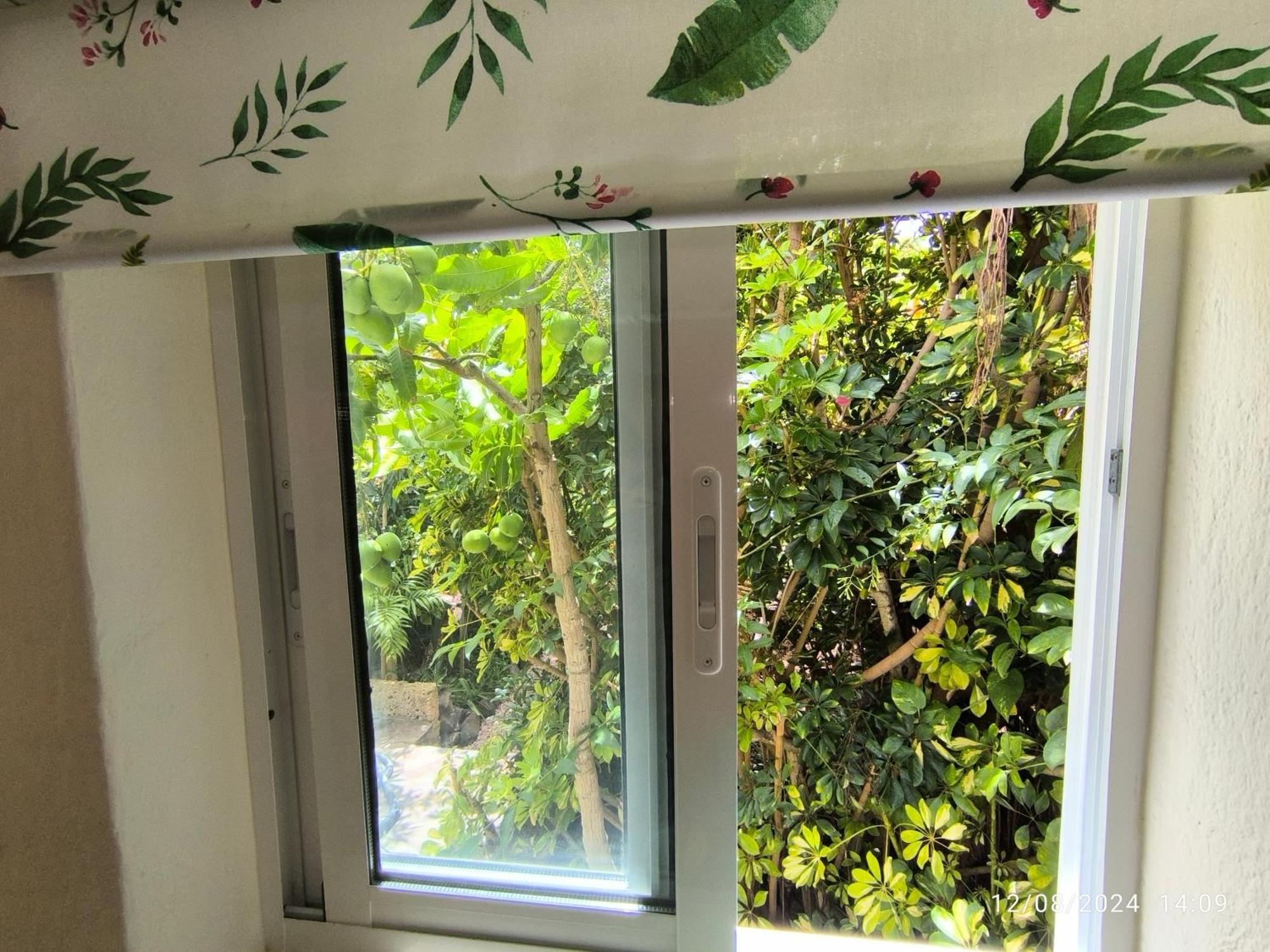 Casa Flora Loft Studio El El Sauzal Dış mekan fotoğraf