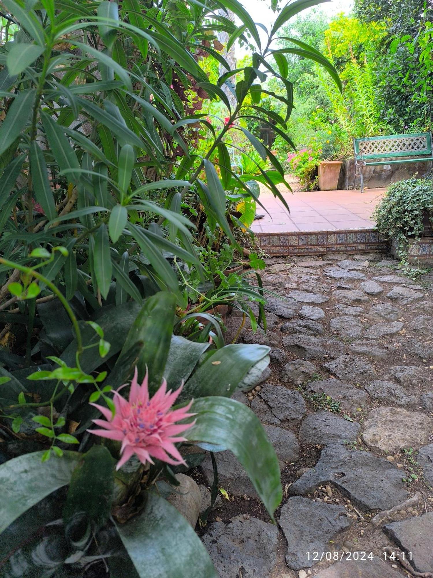 Casa Flora Loft Studio El El Sauzal Dış mekan fotoğraf