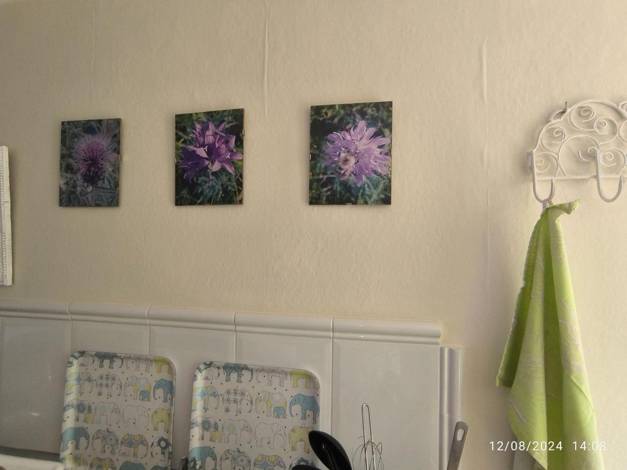 Casa Flora Loft Studio El El Sauzal Dış mekan fotoğraf