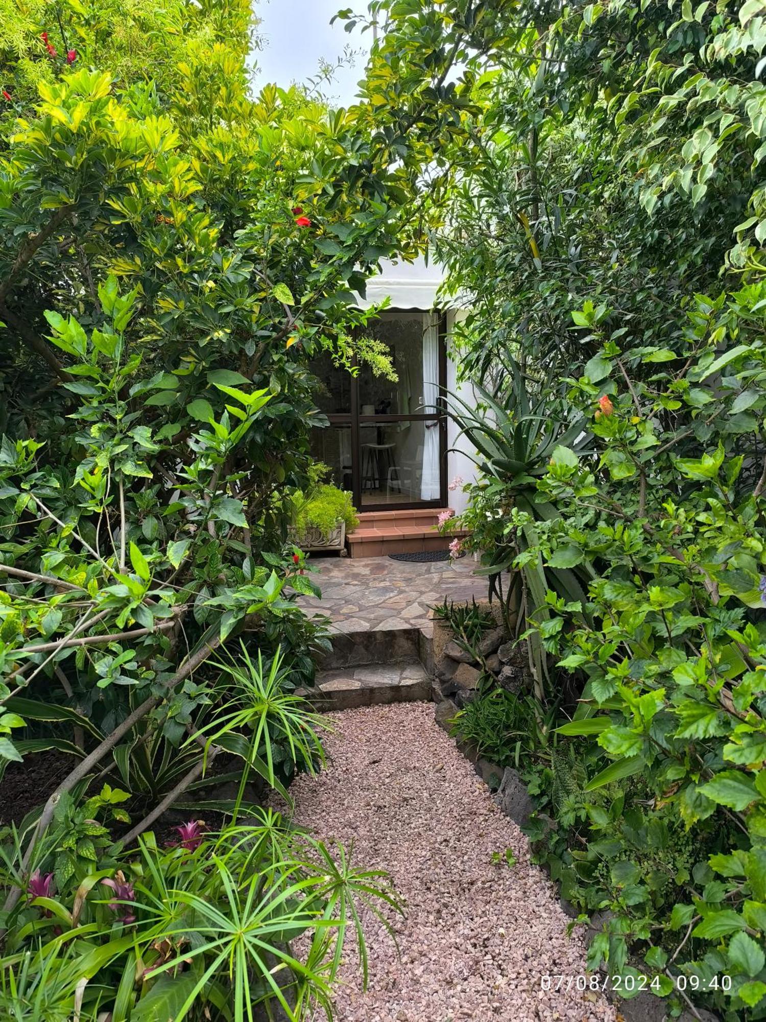 Casa Flora Loft Studio El El Sauzal Dış mekan fotoğraf